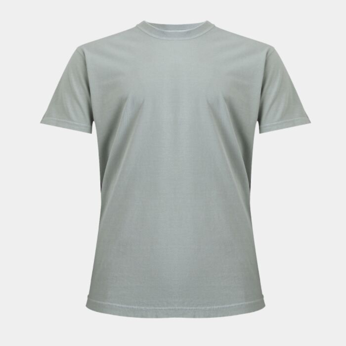 Heavyweight adult t-shirt Thumbnail