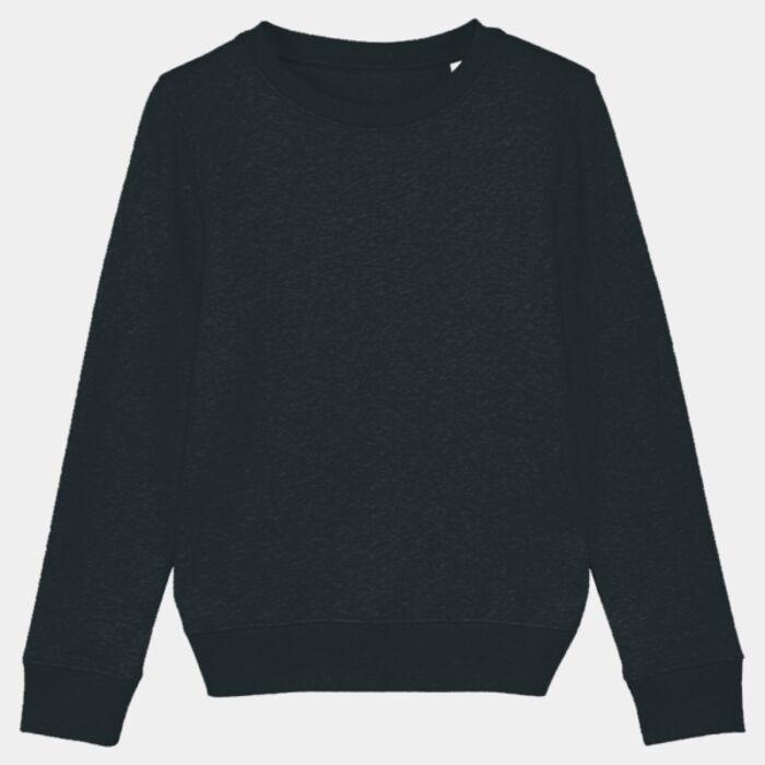 Kids mini Changer iconic crew neck sweatshirt (STSK913) Thumbnail